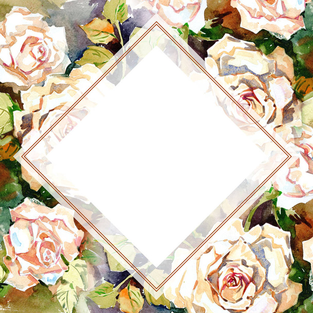 Wild rose flower frame - Foto, immagini