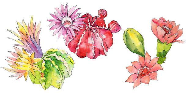 Coloridas flores de acuarela
 - Foto, Imagen