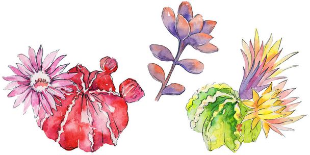 colorful watercolor flowers - Photo, Image