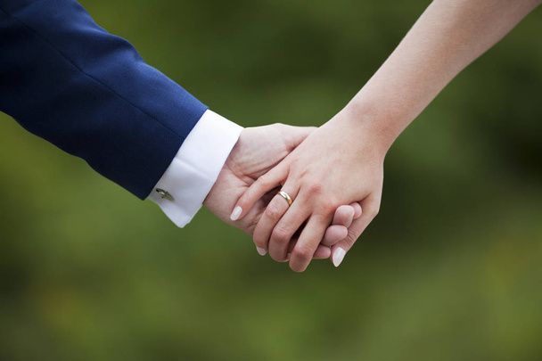 Wedding couple holding hands  - Photo, Image