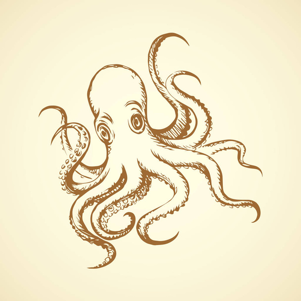  Chobotnice. Vektorové kreslení - Vektor, obrázek