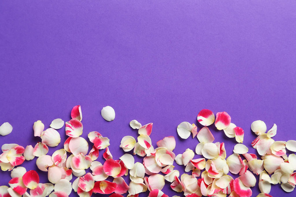  color rose petals  - Foto, Imagem