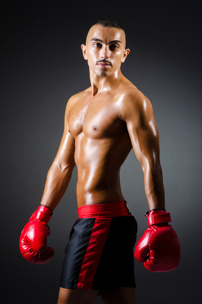 Muscular boxer in studio shooting - Fotoğraf, Görsel