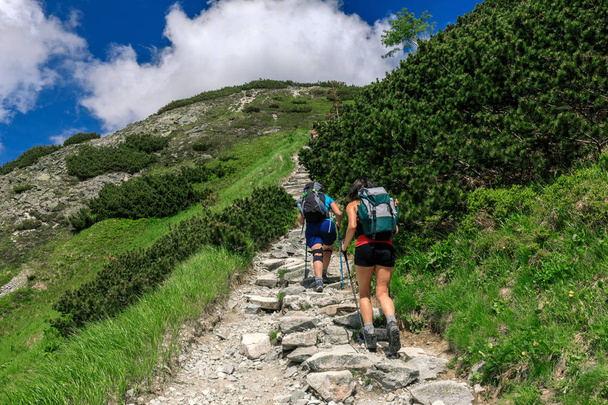 Turistas de senderismo en el camino rocoso en las montañas de Tatra, Polonia
 - Foto, Imagen