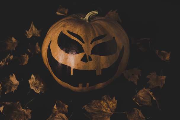 pumpkin for halloween and dried leaves - Photo, Image