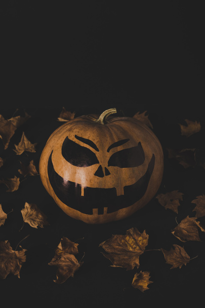 pumpkin for halloween and dried leaves - Фото, зображення