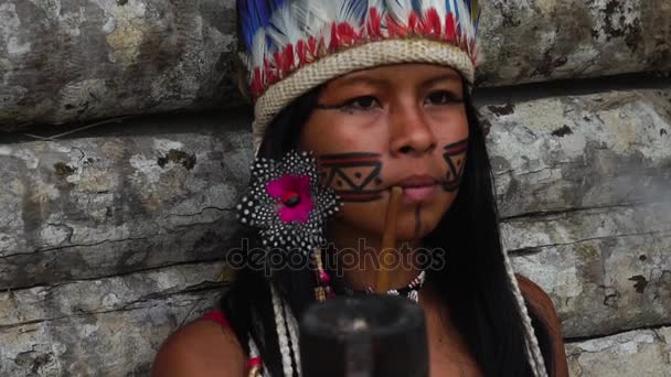 Donna indigena che fuma pipe in una tribù Tupi Guarani, Brasile
 - Filmati, video