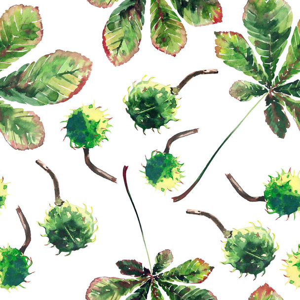 Beautiful wonderful graphic bright floral herbal autumn green maple chestnut leaves  and chestnuts pattern watercolor hand sketch. Perfect for textile, wallpapers, wrapping paper - 写真・画像