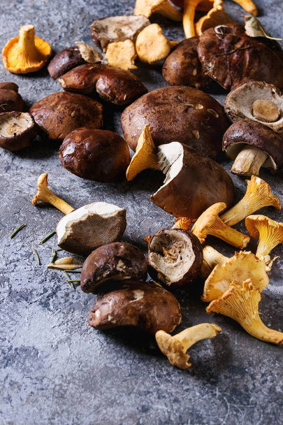 Porcini boletus and chanterelles mushrooms - Фото, изображение