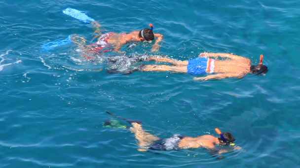 három snorkelers a kék tenger - Felvétel, videó