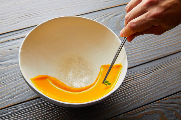 creamy carrot cream painted on white bowl - Fotografie, Obrázek