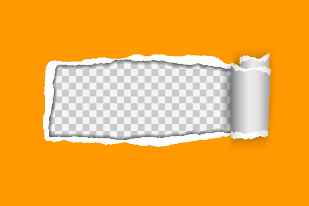 Διάνυσμα ρεαλιστική απεικόνιση του πορτοκαλί σκισμένο χαρτί με έλασης άκρη σε διαφανές φόντο με σκελετό για το κείμενο - Διάνυσμα, εικόνα
