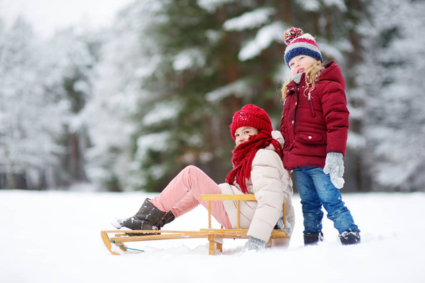 little girls in winter park - Foto, imagen