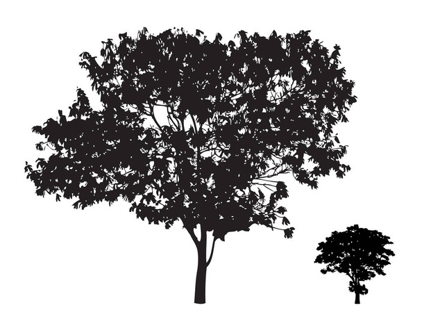 2 つのツリー ブランチ シルエット: ベクトル - ベクター画像