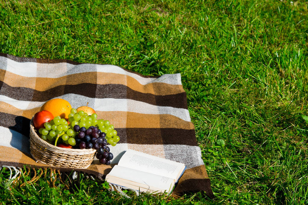 place in the park on the grass for relaxation, and reading a book with a basket of fruit - Foto, Imagem
