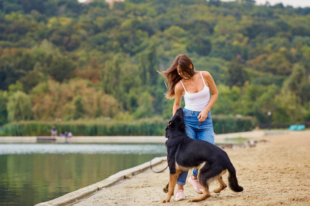 A girl is playing with her dog in the park on the summer beach. - 写真・画像