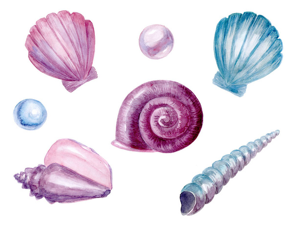 Sea shells and pearls compilation - Фото, изображение