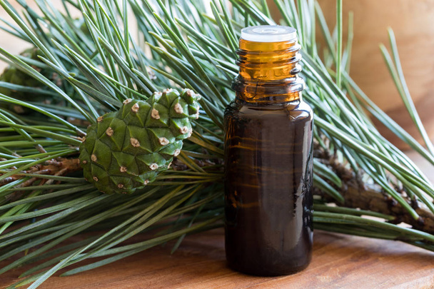 Une bouteille d'huile essentielle de pin aux branches de pin
 - Photo, image