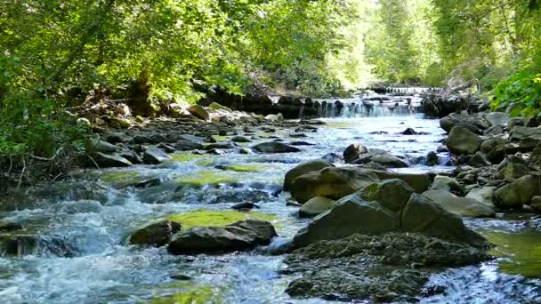 小さな滝と渓流。スローモーション - 映像、動画
