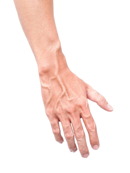 Мужчина рука кожи с венами крови на белом фоне, здравоохранение
 - Фото, изображение