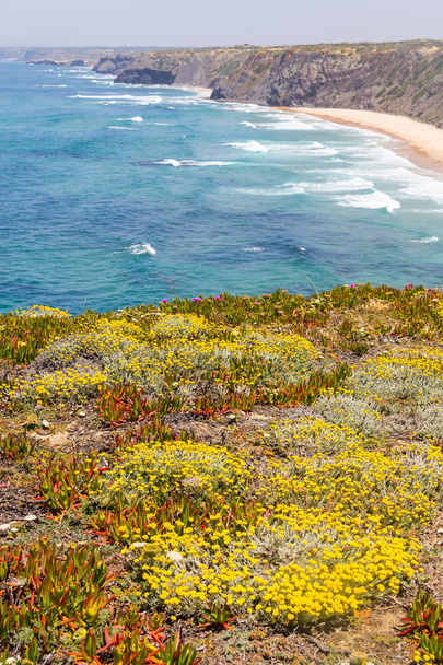 Flores, falésias, praia e ondas em Arrifana
 - Foto, Imagem