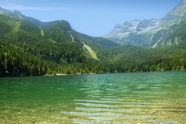 Lago Tovel Trentino Alto Adige, Italia
 - Foto, Imagen
