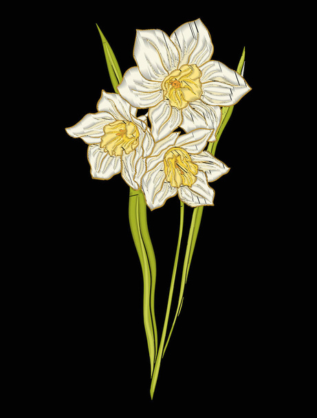 Daffodil flower for embroidery in botanical illustration style o - Wektor, obraz