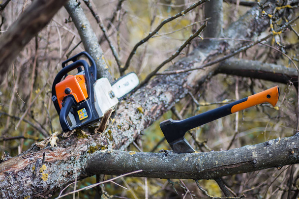 An axe and chainsaw are on the tree	 - Photo, Image