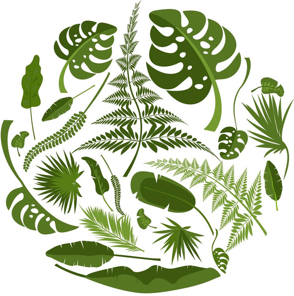 Set of tropical leaves - Vektor, Bild