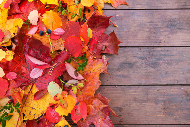 Autumn fall leaves background - Фото, изображение