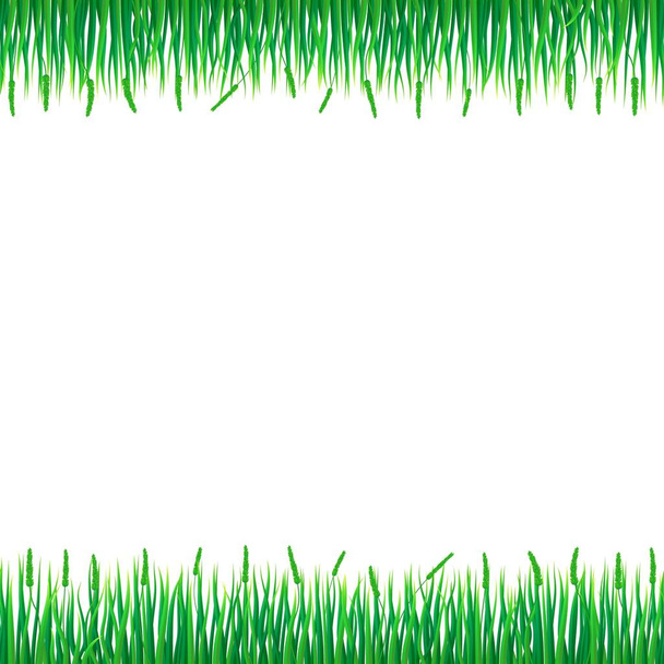 Zöld fű koncepció háttér, reális stílus - Vektor, kép