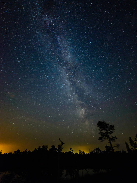 colorata galassia Via Lattea visto nel cielo notturno sopra gli alberi
 - Foto, immagini