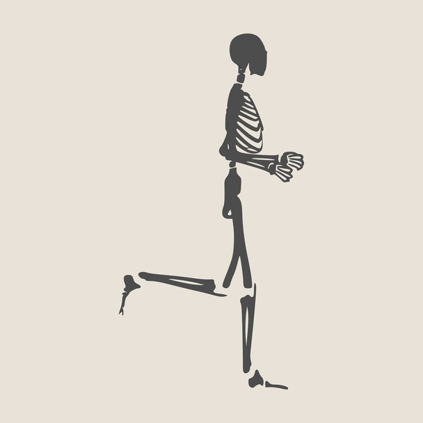 Halloween human skeleton - Vector, Image