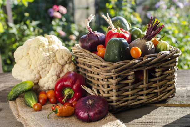 Vegetables harvest in  basket - Фото, зображення