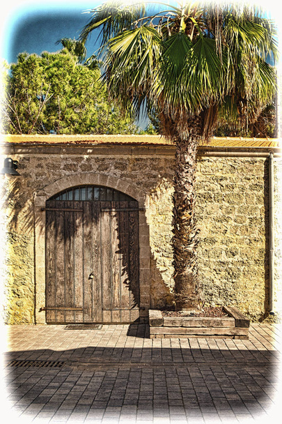 Muur met poort en palmboom  - Foto, afbeelding