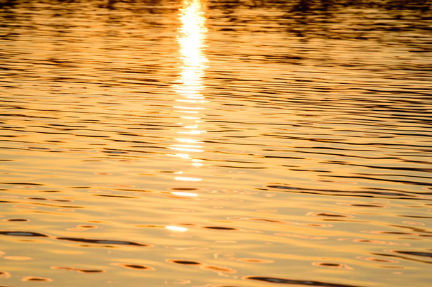 Reflexões na água calma do lago
 - Foto, Imagem