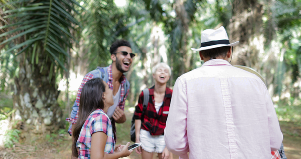 Groupe de personnes avec des sacs à dos parlant en utilisant des téléphones intelligents cellulaires, les hommes et les femmes riant sur la randonnée dans la forêt tropicale de palmiers
 - Séquence, vidéo