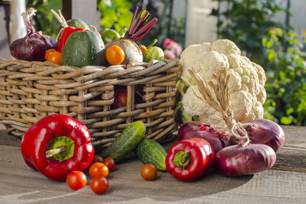 урожай овощей в корзине - Фото, изображение