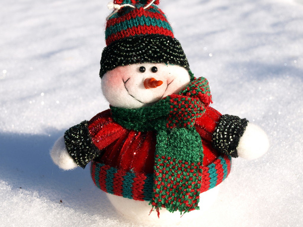 Снеговик в ожидании зимы
 - Фото, изображение