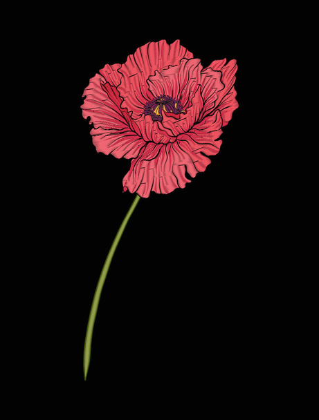 Poppy flower for embroidery in botanical illustration style on a - Vektor, Bild