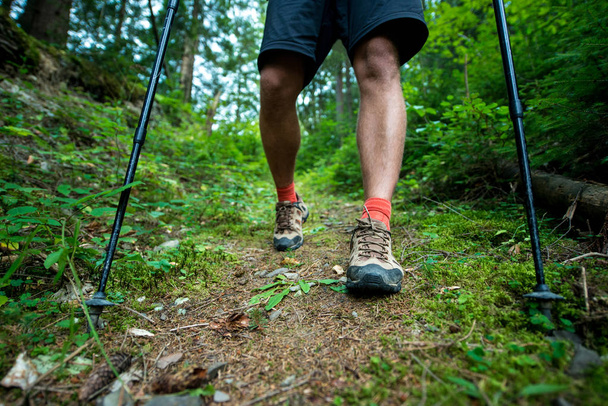 Traveler in hiking boots with trekking poles walks in the forest - Photo, Image