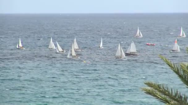 group of sailboats in water off shore - Footage, Video