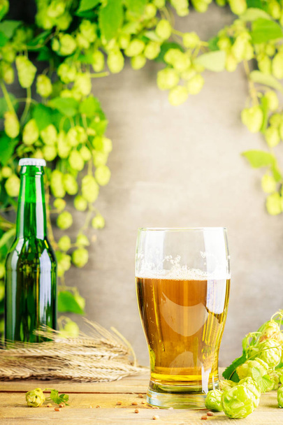 Beer with hops - Фото, изображение