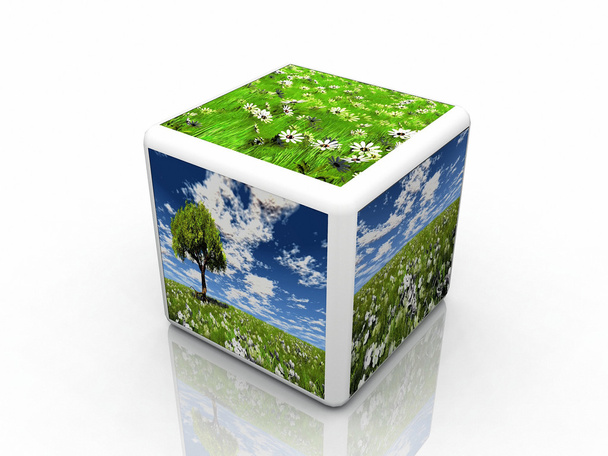 The natur cube with pictures - Foto, Imagem
