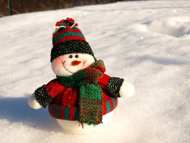 Snowman waiting for Christmas - Photo, Image