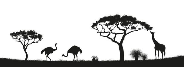Μαύρη σιλουέτα της στρουθοκαμήλου, καμηλοπάρδαλη στη σαβάνα. Ζώα της Αφρικής. Αφρικανικό τοπίο. Πανόραμα της άγριας φύσης - Διάνυσμα, εικόνα