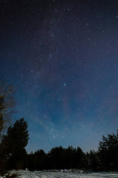 Nachthimmel mit Sternen in der Winternacht mit Bäumen - Foto, Bild