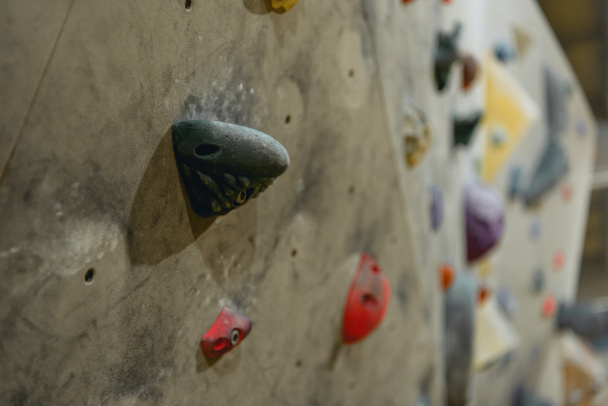 Grips on climbing wall - Photo, Image