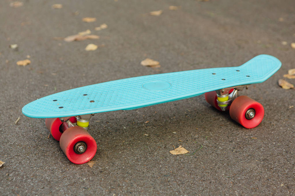 Blue penny board with pink wheels. - Foto, Imagen