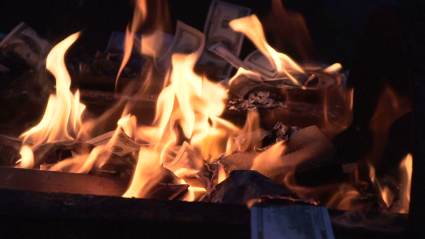 Burning sto Dolar bill zwolnionym tempie - Materiał filmowy, wideo